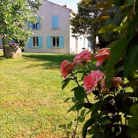 Gite Dans Une Ambiance Vegetale Avec Spa Privatif Jazennes Exterior photo
